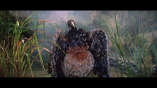 720269095_vlcsnap-2026-04-28-20h51m45s877.png
