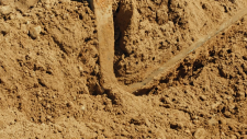 screenshot_22bb6d9b692740dc7.png