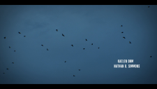 screenshot_1e1889d0c67eb3d32.png