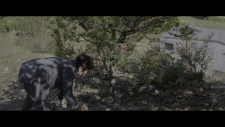 screenshot_1ee1c255ef3b03984.png