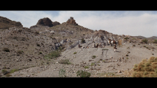 721242175_00000_screenshot_002.png