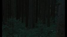 screenshot_33799cb88f1cd291a.png