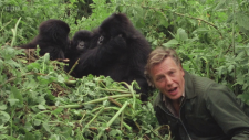 Life.on.Earth.S00E04.Making.Life.on.Earth.Attenboroughs.Greatest.Adventure.1080p.iP.WEB-DL.AAC2.0.HFR.H.264-FFG.mkv_20260512_153640.406.png
