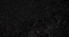 screenshot_2f47f36cee1d2a349.png