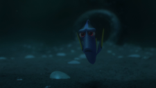 51b030df713fc1276ba9bffe0c020156.png