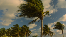 screenshot_290082d313f6e3ed3.png