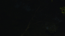 screenshot_2c45073688ca37602.png