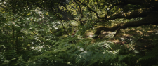 13b19d1081b3f65c4.png