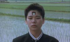 5fd3f619b91a86751.png
