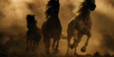 screenshot_4826e7e9095aef620.png