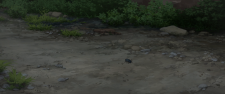 screenshot_256dc3d271e84591d.png