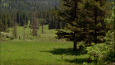 screenshot_2a57f27617beac6ab.png