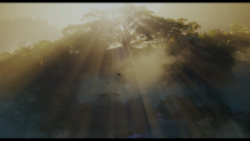 10f923625d7ee8dae4.png