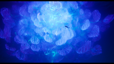 30e343bfdb853a633.png