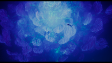 3c6ae2e8a271052bc.png