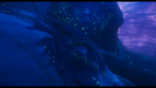 9c379c218f7769bca.png
