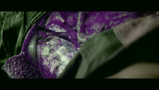 screenshot_4f3dfc08ca2a4b889.png