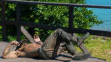 screenshot_1ddd1aa12df56e14b.png