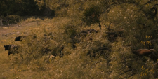 screenshot_100873d33fe01320c.png