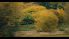 screenshot_1fe8cba35e3d626ff.png