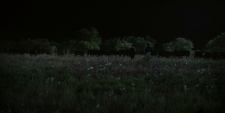 screenshot_21adc176fa5ee707c.png