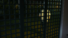 screenshot_2718776d7eb205929.png
