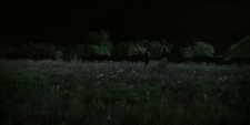 screenshot_4552706919cc17a54.png