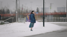 vlcsnap-2026-05-28-14h32m18s039.png
