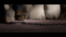 screenshot_26f3392e2d384670c.png