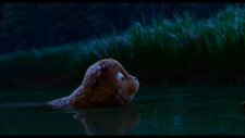 67458de62d5fa2868.png