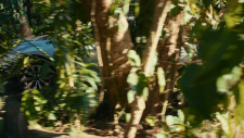 screenshot_3dfa1db71ba94757a.png