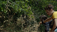 2ba7803702ccf91cf.png