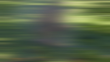 screenshot_407f20489a2aca3ab.png