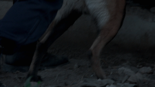 18b170f364e925db9.png
