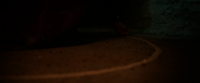 screenshot_4a58c891b6251a88a.png