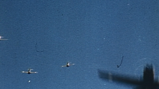 screenshot_4acaacf7b231aa8b0.png