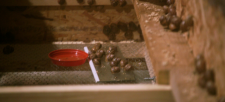 Clarkson-s-Farm-29dce0ab95a025537.png
