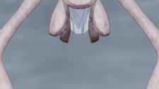 screenshot_108f386843f6ea087.png