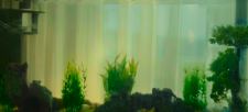 screenshot_2b7a84f8e90c0e5c8.png