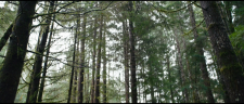 screenshot_3aa0bc2b7432a3bb2.png