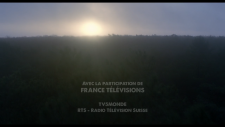 193d48718e805ceb0.png