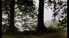 733930406_00002_screenshot_003.png