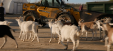 Clarkson-s-Farm-48c2a587d4c675c13.png