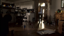 736676924_file-upload-0.png