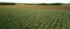 vlcsnap-2026-06-11-23h59m00s308.png