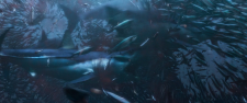 720-4.png