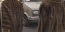 screenshot_1fc5f34b4feefbcd8.png