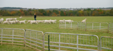 Clarkson-s-Farm-2e93e026dc742847a.png