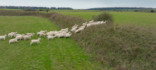 Clarkson-s-Farm-3b04d62795facb1bc.png