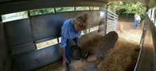 Clarkson-s-Farm-4aaeee461abdb647f.png